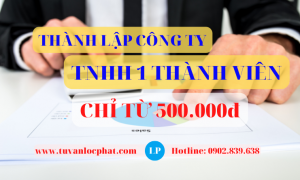 Thành lập công ty TNHH 1 thành viên